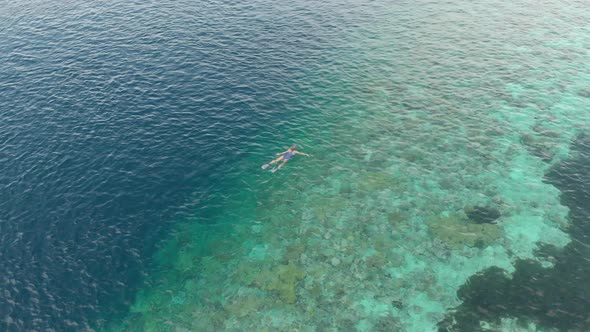 Aerial: woman snorkeling on coral reef tropical caribbean sea Indonesia Sulawesi