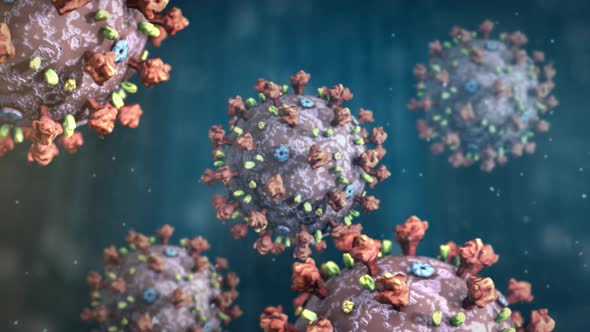 Microspcopic View of the Coronavirus