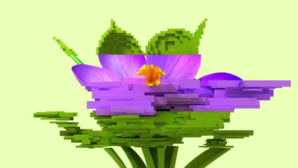 3d glitch of flower crocus