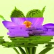 3d glitch of flower crocus - VideoHive Item for Sale