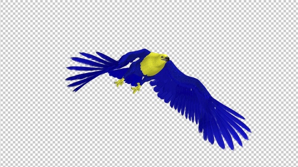 Ukraine Eagle - Flying Transition - II- 4K - Alpha Channel alt