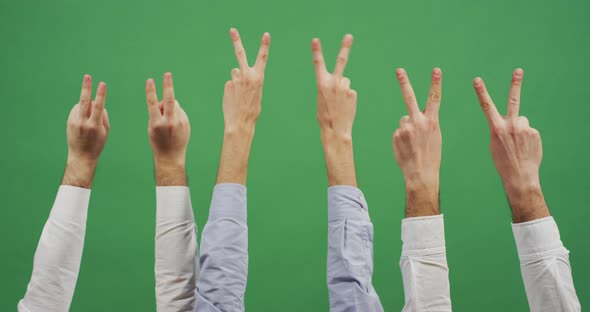 Hands raising the V-sign