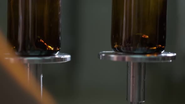 Bottling Wine By the Machine Into Bottles