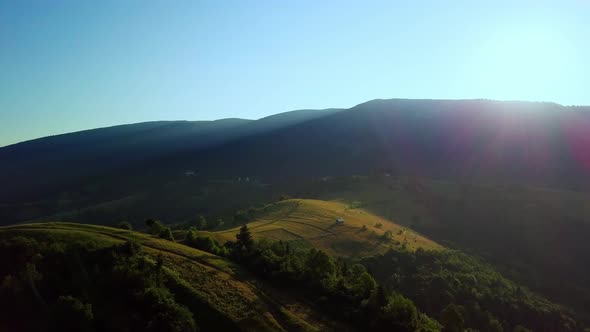 Aerial View of the Endless Lush Pastures of the Carpathian Expanses and Agricultural Land