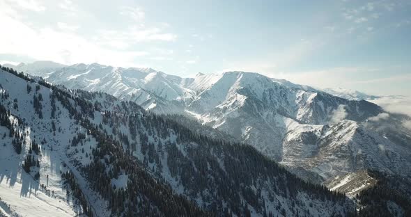 Snow Forest in the Mountains Above the Clouds