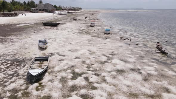 Ocean Low Tide Near the Coast of Zanzibar Island Tanzania