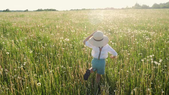 Child Boy 5 Years Old in a Hat Run on a White Dandelion on the Field During Sunset