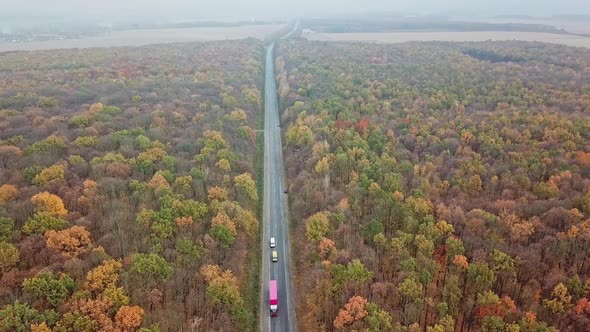 Amazing view of natural environment of autumn forest.