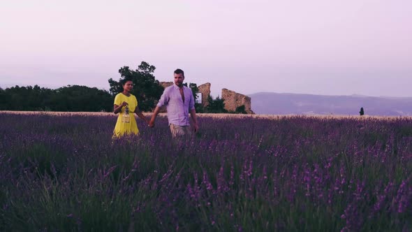 Provence Lavender Field France Valensole Plateau Colorful Field of Lavender Valensole Plateau