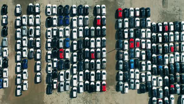 Top View of Car Factory Parking Area. Car Dealer Parking Lot Full of New Automobiles.