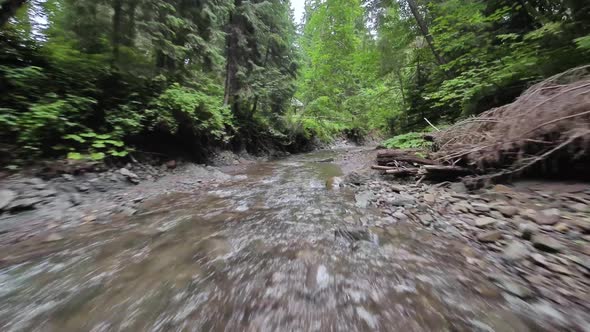 Smooth Rapid Flight Over a Mountain River Close to the Water Among a Dense Forest