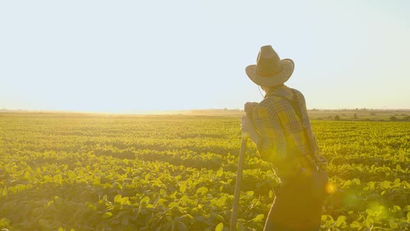 Farmer Man Holding a Shovel in His Hand Walking Across the Green Soybean Field