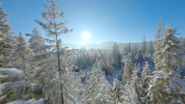 Winter in a Mountain Village