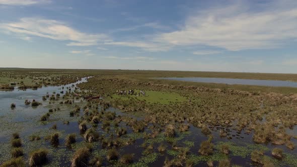 Aerial shot panning across Ibera Wetlands, Corrientes Province, Argentina
