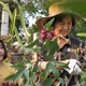 Happy Asian senior farmer and little girl harvesting organic fresh red roselle in the farm. - VideoHive Item for Sale