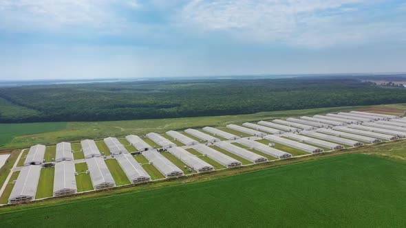 View of poultry houses in fields. Aerial view of poultry farm among fields