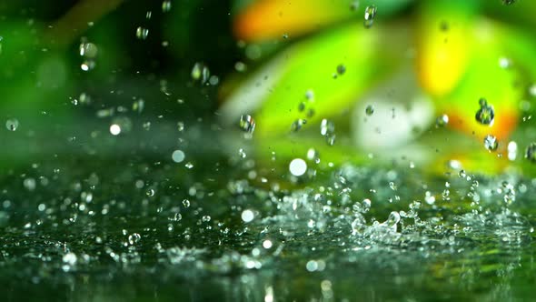 Super Slow Motion Shot of Raining at Green Water Surface 1000Fps