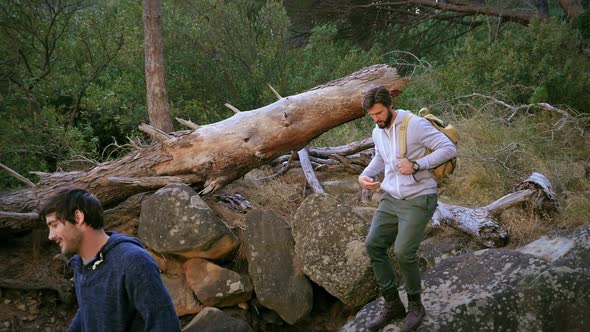 Men walking in forest