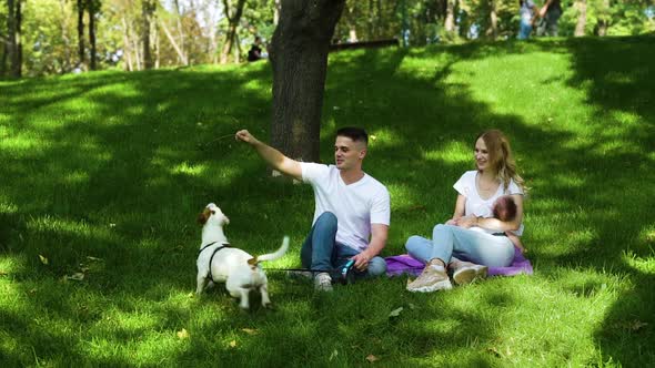 Young family spending summer day with baby and pet Jack Russell Terrier