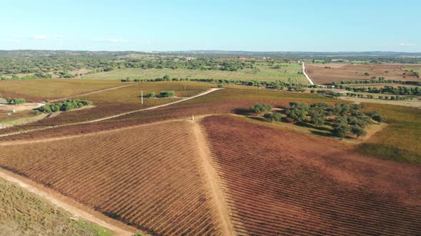 Long Shot of a Huge Agricultural Terrain Area Under the Clear Blue Sky