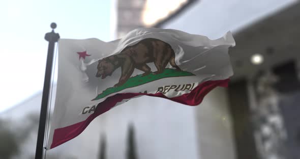 California state flag waving