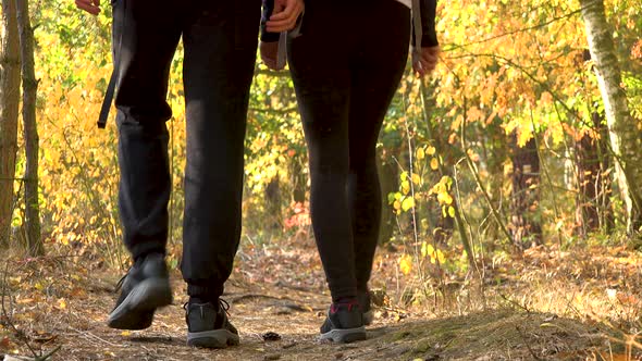 A Hiking Couple Walks Down a Path Through a Forest on a Sunny Day - Rear View