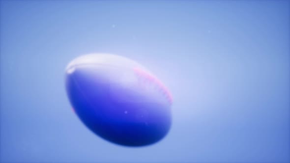 Super Slow Motion Flying Football alt