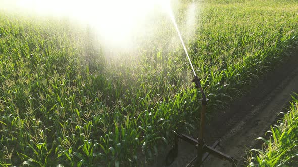 Agricultural Irrigation System 05