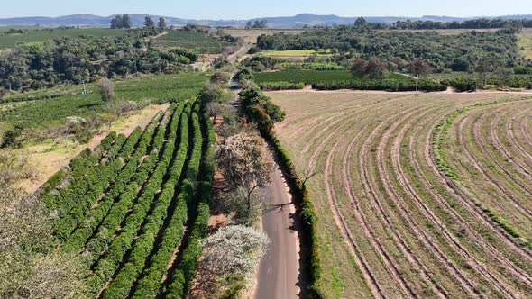 Countryside scenic aerial landscape. Rural life scenery.