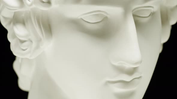 Plaster Head Sculpture Apollonian Closeup