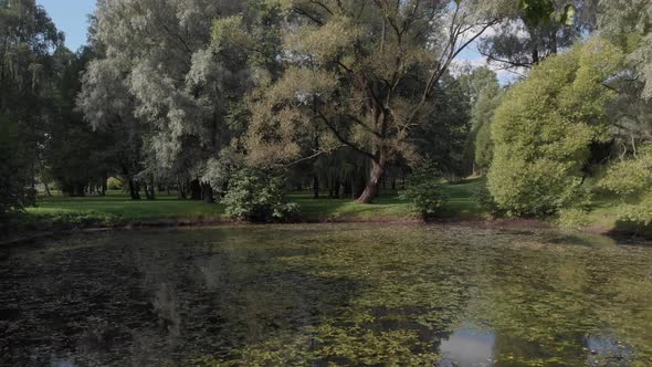 Beautiful Lake In The Park