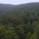 Aerial view of green mountain woodlands Drone view of natural surroundings - VideoHive Item for Sale