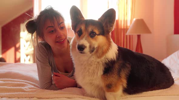 Close-up Portrait of Pleased Woman Lying on Bed at Home with Her Loved Dog Welsh Corgi.