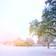 Cold Winter Snow Landscape Scenery - VideoHive Item for Sale