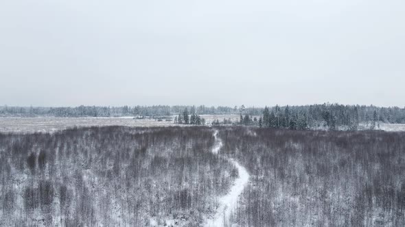 Winter Snow Covered Field with Forest and Path Flying