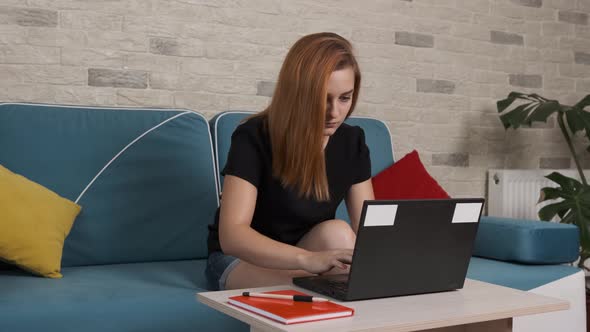 Concentrated Young Woman That Is Sitting on a Blue Sofa and Working at the Laptop