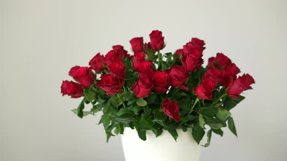 Red Roses 14