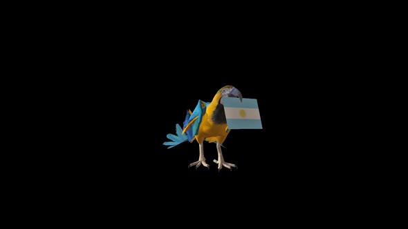 Parrot Carrying Flag- Argentina