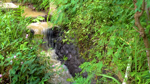 Dirty, muddy water flows down tiny waterfall on stream