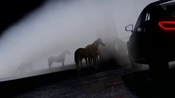 Foggy Luxury Car and Horses