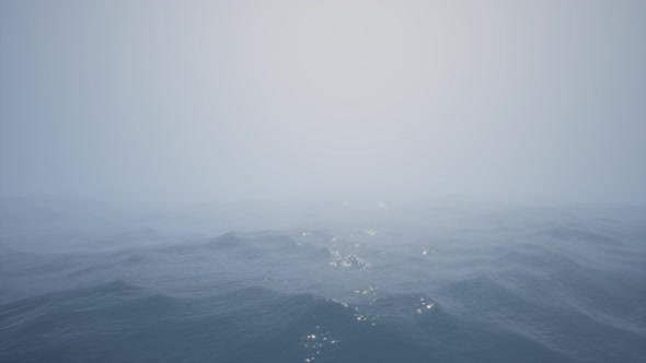 Foggy Ocean alt