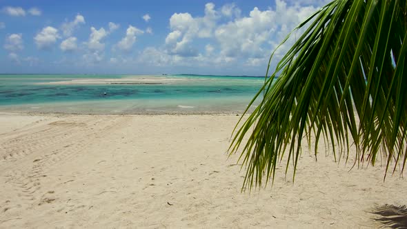 Tropical Beach with Palm Tree in French Polynesia 