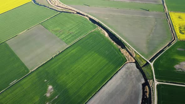 Aerial high altitude flight over blooming rapeseed (Brassica Napus) field, flying over yellow canola