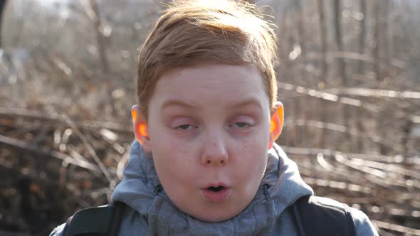 Portrait of Ginger Child with Freckles Showing Surprise and Amazement Outdoor. Little Red-haired Boy