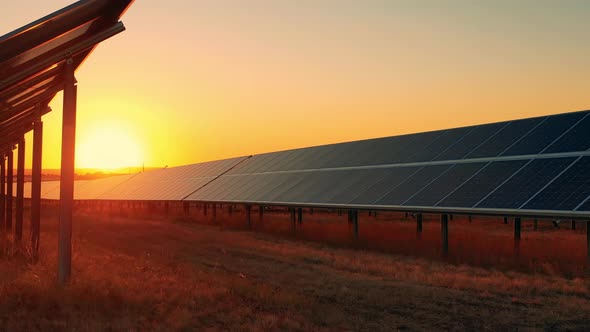 Numerous Modern Solar Panels at a Big Solar Farm at Sunset