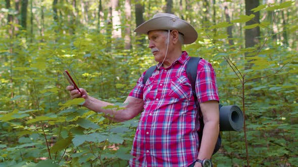 Retired Senior Elderly Grandfather Adventurer Exploring Forest Trees Plants with Smartphone in Wood
