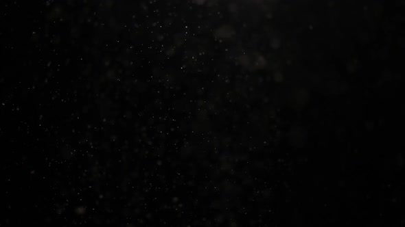 Snowfall Overlay Black Background  Winter Slowly Falling Snow Effect   Footage