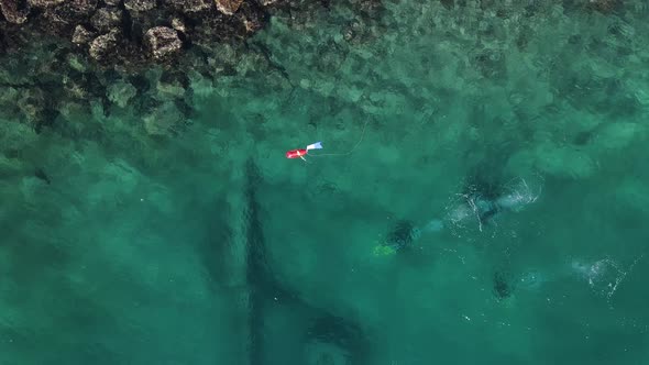 High view of a group of scuba divers conducting a lesson underwater with a dive float on the surface