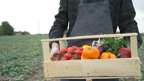 Farmer Holding a Box of Freshly Picked Organic Vegetables