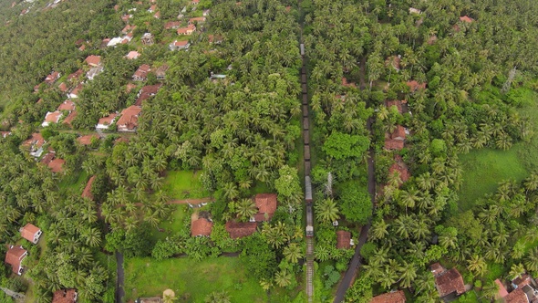 Train Reaching City Through Tropical Jungle